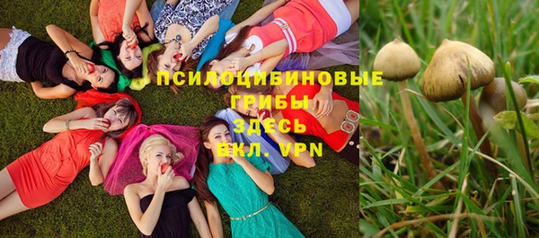 MESCALINE Надым