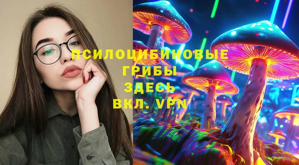 apvp Артём