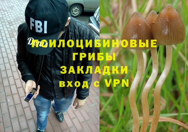 крисы Михайлов