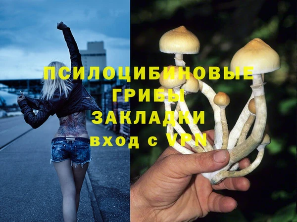 прущая мука Наволоки
