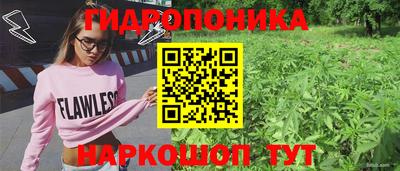 прущие крисы Берёзовский