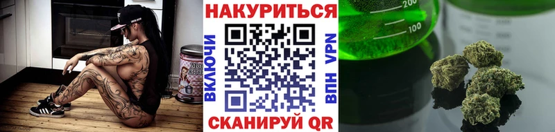 как найти наркотики  Майкоп  Бошки Шишки SATIVA & INDICA 
